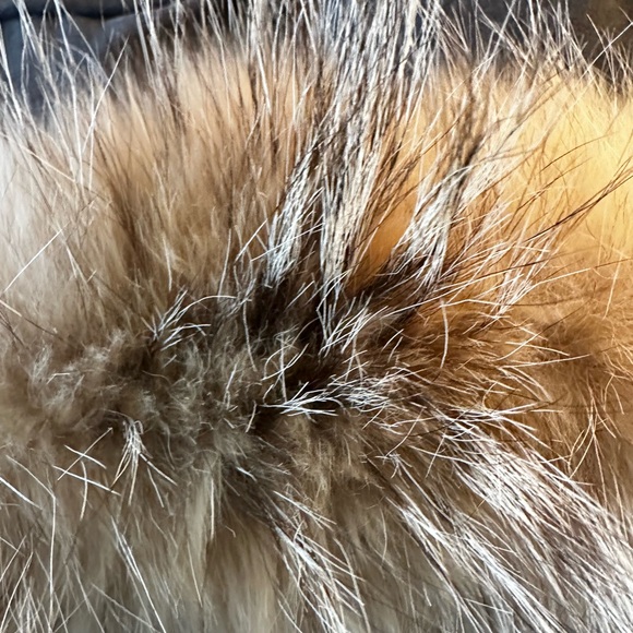 Eddie Bauer Polar Parka / Goose Down / Coyote trim - Picture 6 of 8